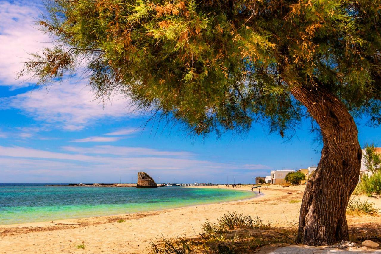 La Stanza Del Paradiso Torre Pali Kültér fotó